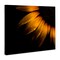 Stupell Industries Water Droplets on Sunflower Canvas, design by Brian Carson Photography